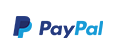 paypal logo big