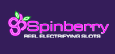 spinberry logo big
