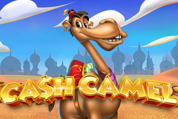 Cash Camel-ss-img