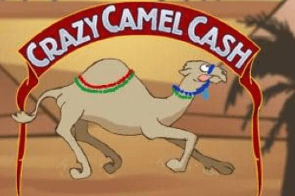 Crazy camel Cash-ss-img