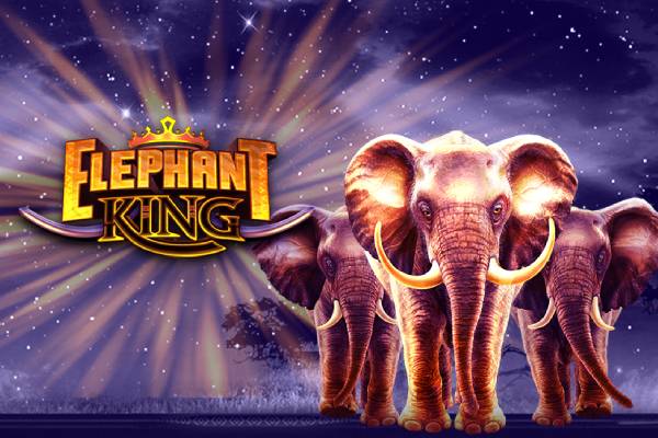 Elephant King-ss-img